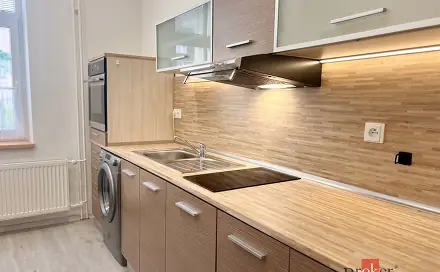 Pronájem bytu 1+1 37 m², Na Nivě, Opava - Předměstí
