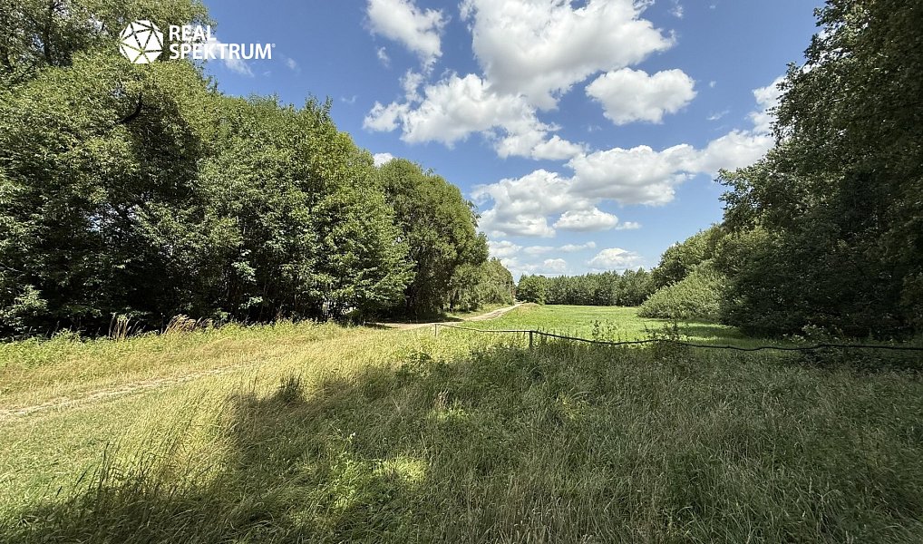 Prodej domu 250 m² s pozemkem 2 793 m², Osová Bítýška – náhled fotky 10
