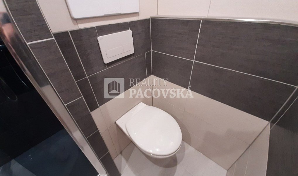 Pronájem bytu 1+kk 21 m², Ústí nad Labem – náhled fotky 10