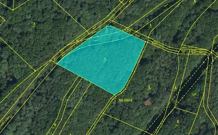 Prodej lesa 7 559 m², Rybitví - Nýřany
