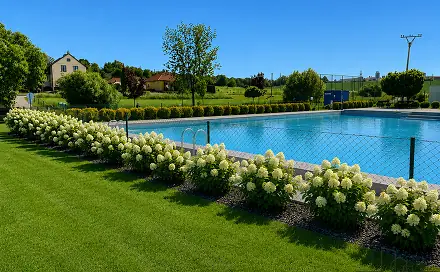 Prodej zahrady 770 m², Žerůtky, okres Znojmo