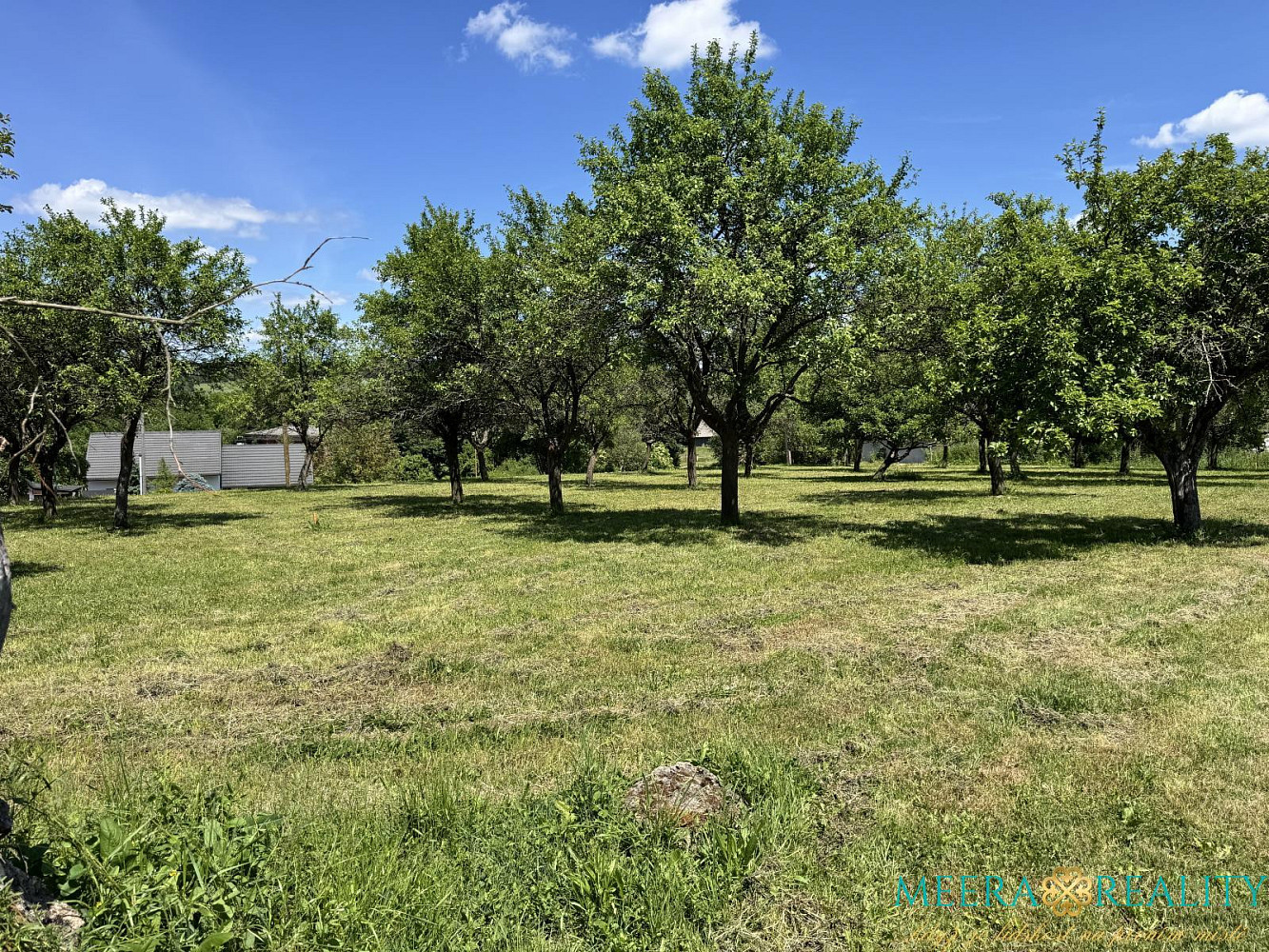Prodej stavebního pozemku 2980 m², Bílé Poličany, okres Trutnov – pohled 2