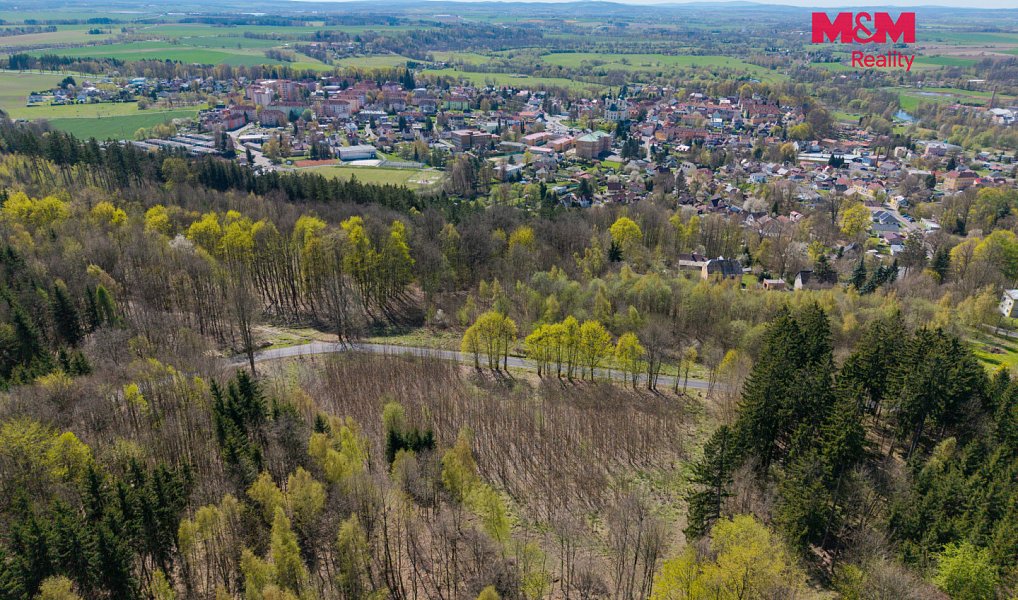 Prodej stavebního pozemku 6 517 m², Libavské Údolí – náhled fotky 4
