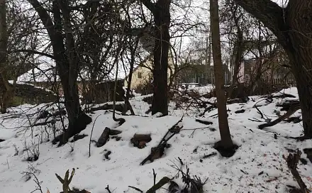Dražba pozemku 16 000 m², Horní Město, okres Bruntál
