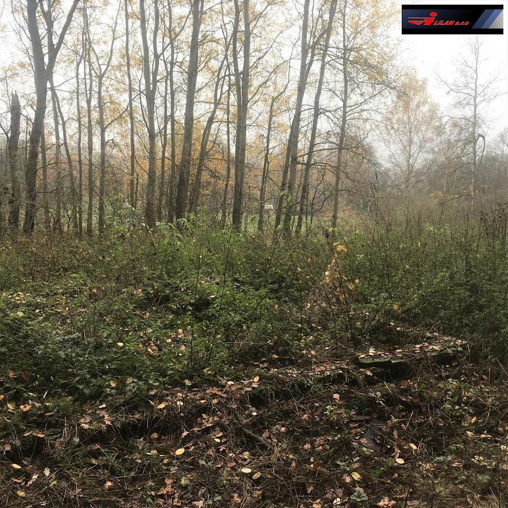 Prodej pozemku 5 142 m² – fotografie 2