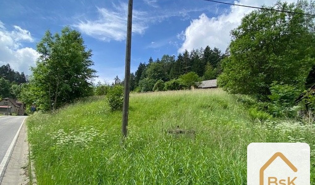 Prodej stavebního pozemku 2 434 m², Koberovy – náhled fotky 8