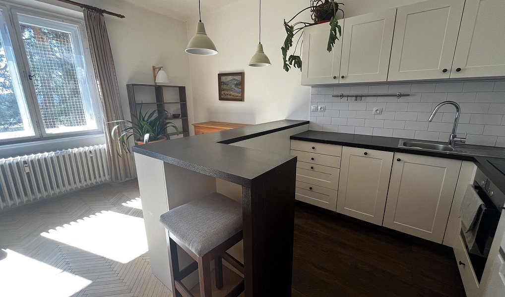 Pronájem bytu 3+kk 67 m², Praha – náhled fotky 3
