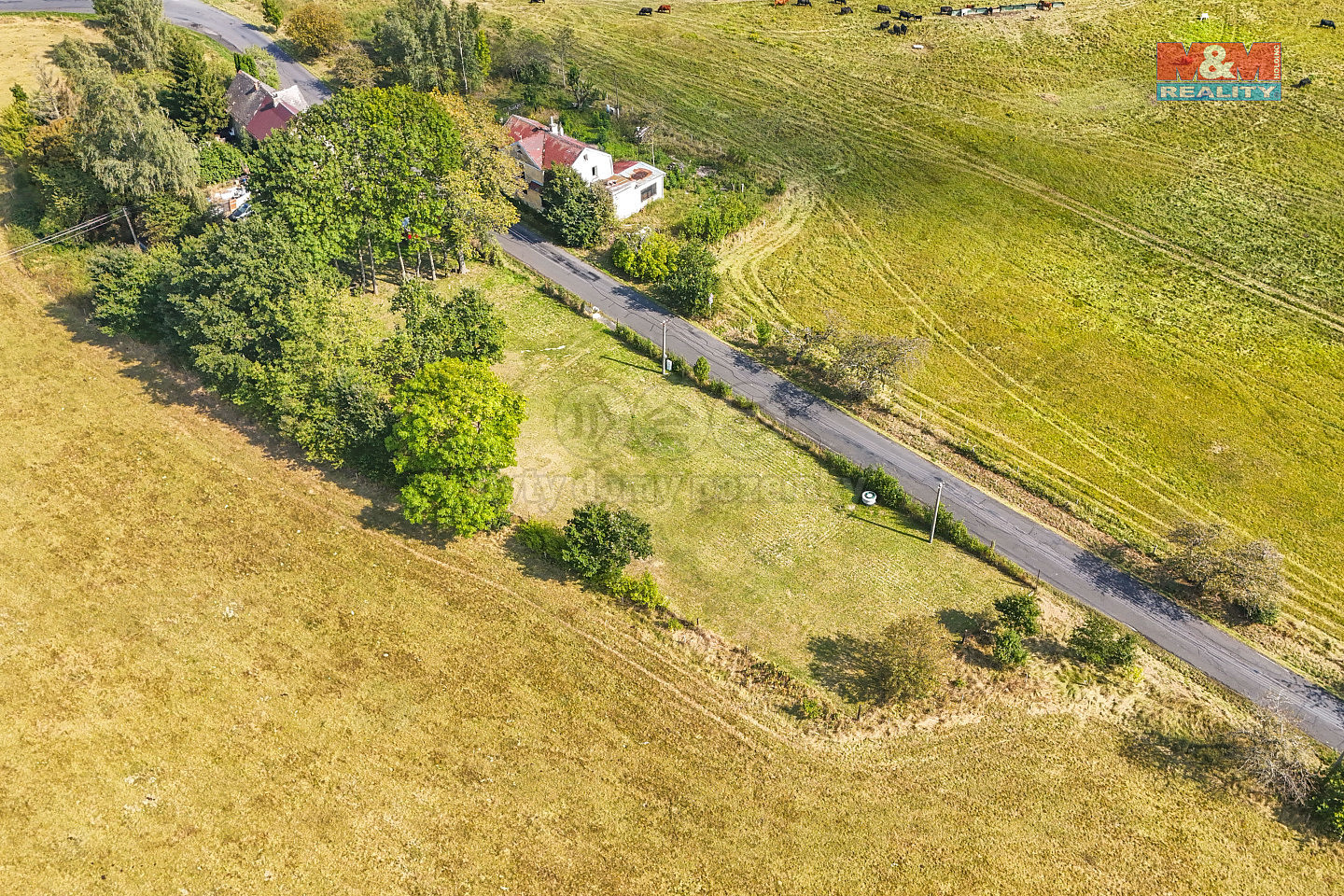 Fotka 15 z 27