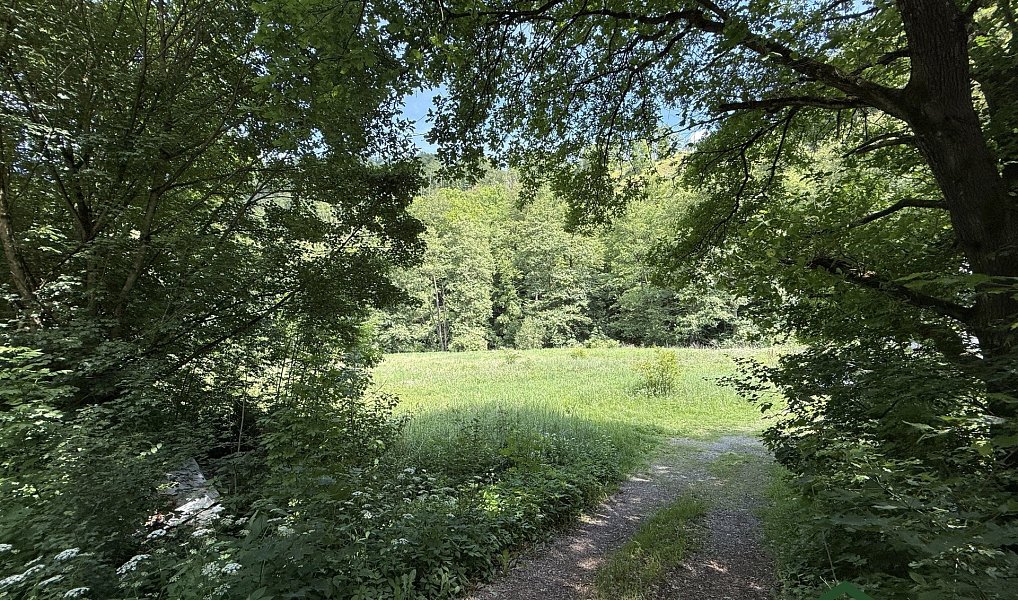 Prodej louky 3 200 m², Bílovice nad Svitavou – náhled fotky 9