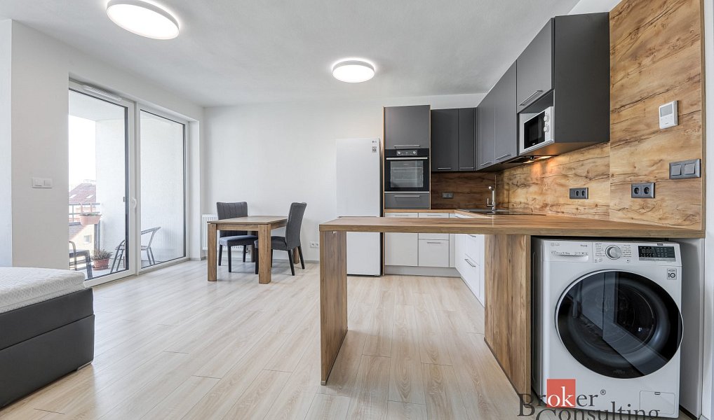 Pronájem bytu 1+kk 36 m², Plzeň – náhled fotky 2