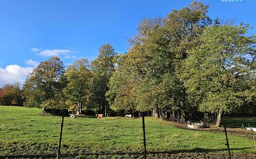 Prodej pozemku 2 133 m², Zlaté Hory, okres Jeseník