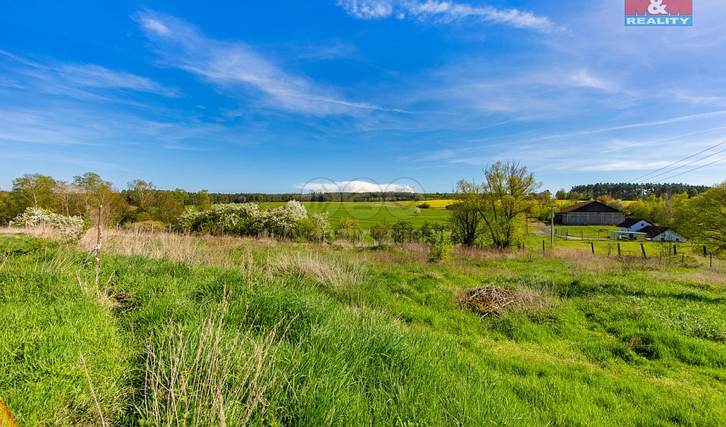 Prodej zemědělského objektu 4 026 m², Černovice – náhled fotky 4