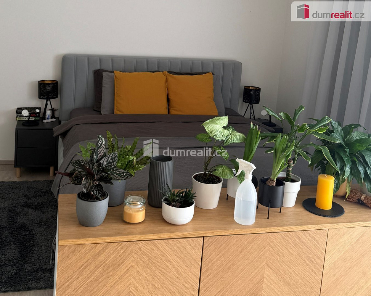 Pronájem bytu 1+kk 37 m² — photo 3