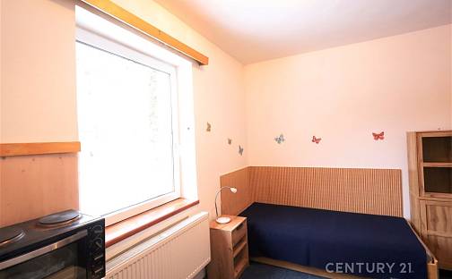 Pronájem bytu 1+kk 15 m², Vranov, okres Brno-venkov