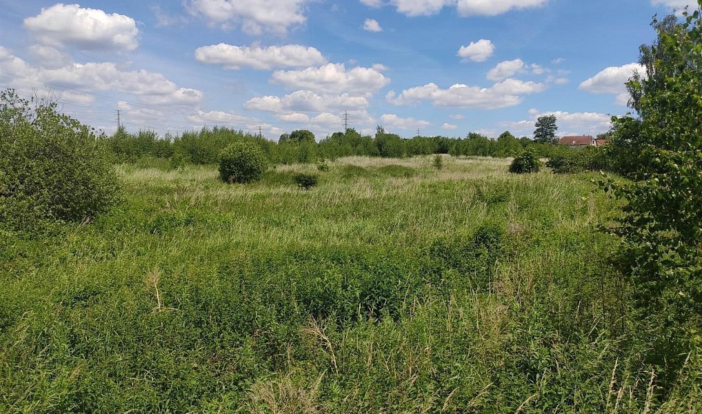 Prodej stavebního pozemku 838 m², Bechyně – náhled fotky 5