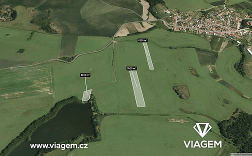 Prodej pole 1 980 m², Hostim, okres Znojmo