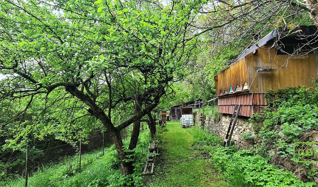 Prodej zahrady 1 044 m², Český Krumlov – náhled fotky 25