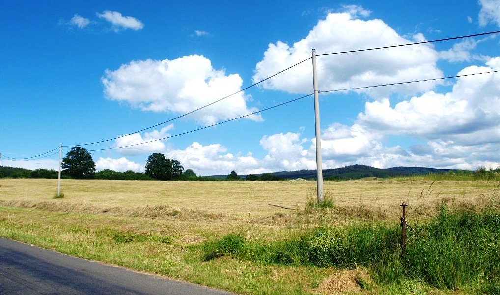 Prodej pole 88 519 m², Nýrsko – náhled fotky 2