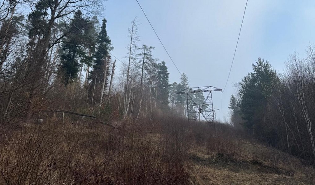 Prodej lesa 5 829 m², Malá Bystřice – náhled fotky 5