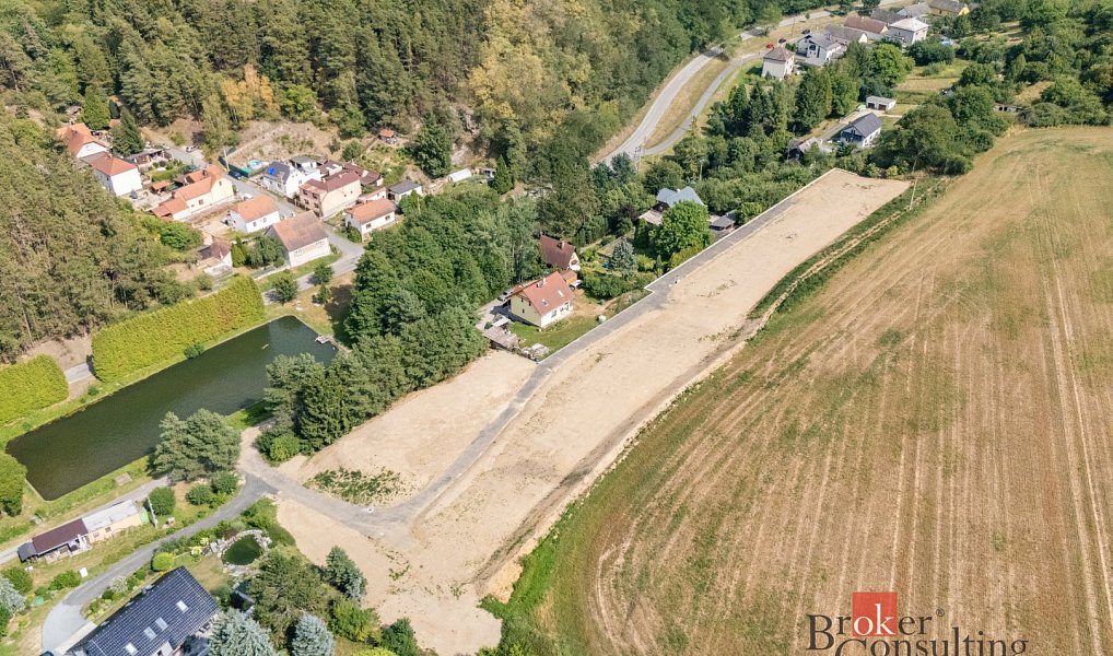 Prodej stavebního pozemku 6 411 m², Hromnice – náhled fotky 2