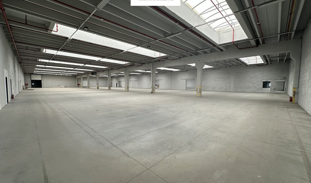 Pronájem skladovacích prostor 2 000 m², Říčany – náhled fotky 8