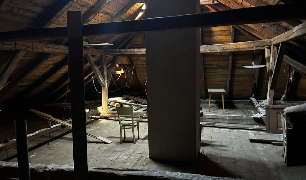 Prodej domu 250 m² s pozemkem 176 m², Benešov nad Černou – náhled fotky 8