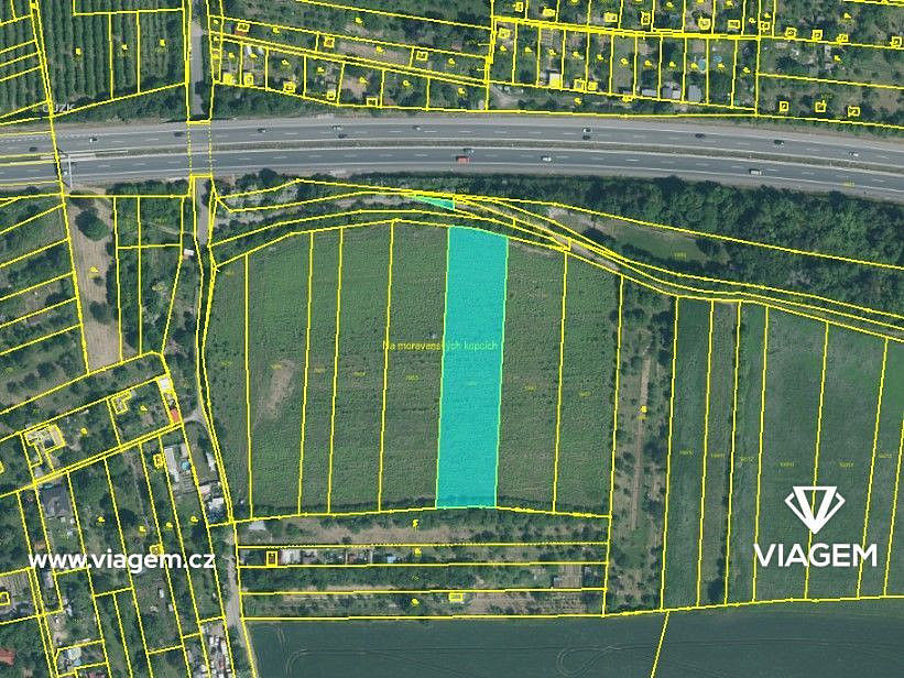 Prodej pole 3 668 m² – fotografie 3