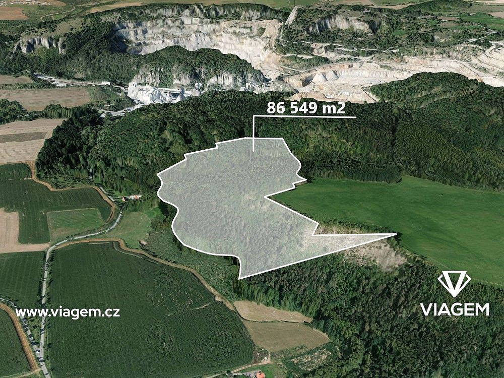 Prodej lesa 10 818 m²