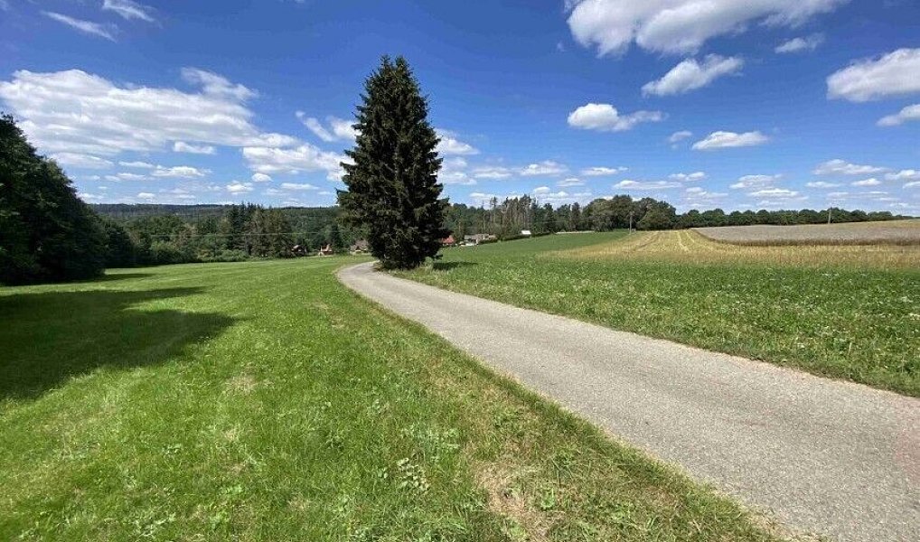 Prodej pozemku 3 466 m², Boňkov – náhled fotky 5