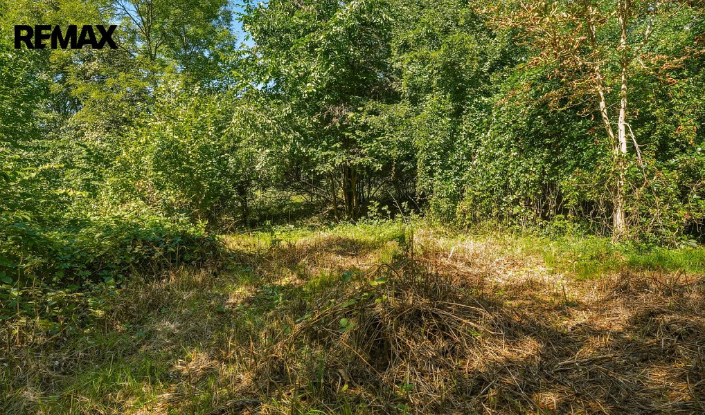 Prodej domu 136 m² s pozemkem 1 470 m², Nový Oldřichov – náhled fotky 53