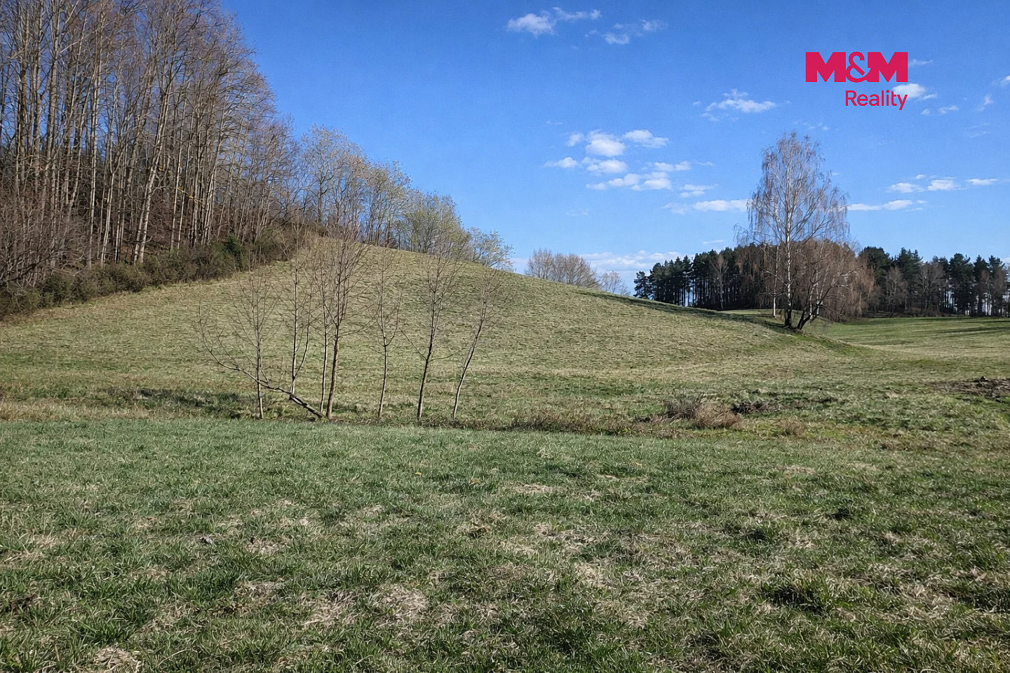 Prodej louky 2 749 m² – fotografie 2