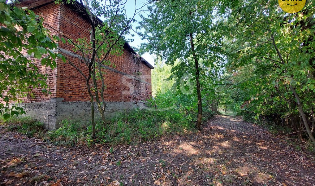 Prodej domu 260 m² s pozemkem 6 448 m², Dolní Těšice – náhled fotky 5