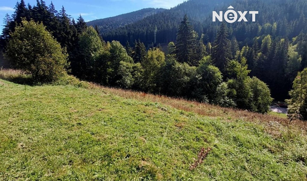 Prodej stavebního pozemku 4 273 m², Pec pod Sněžkou – náhled fotky 8
