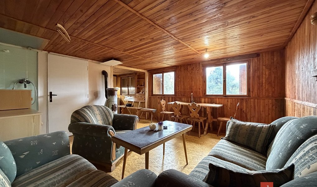 Prodej domu 50 m² s pozemkem 40 m², Stříbro – náhled fotky 3