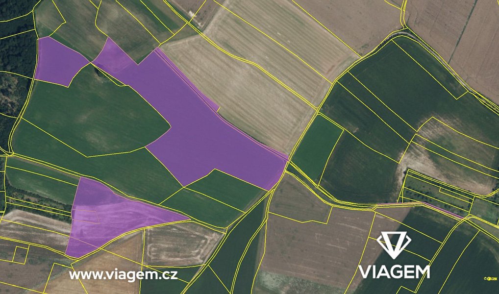 Prodej pole 4 154 m², Zaloňov – náhled fotky 4