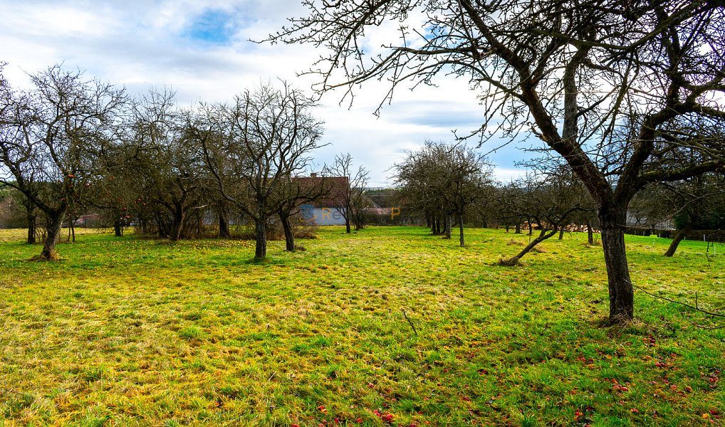 Prodej stavebního pozemku 1 515 m², Stádlec – náhled fotky 13