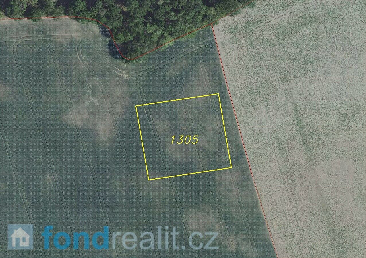 Prodej pole 2 574 m² – fotografie 5