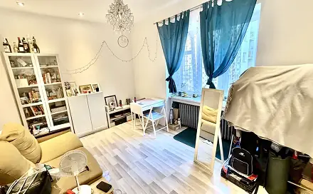 Pronájem bytu 1+kk 23 m², Kouřimská, Praha 3 - Vinohrady