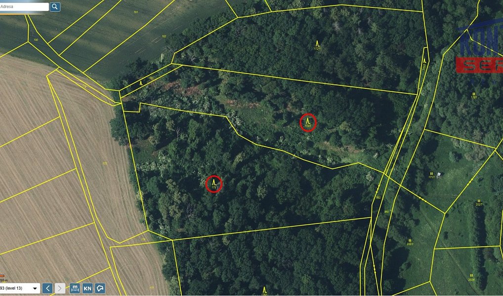 Prodej lesa 21 606 m², Kovanec – náhled fotky 3