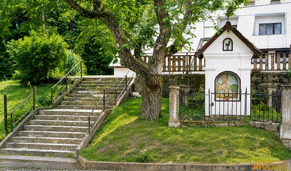 Prodej domu 1 000 m² s pozemkem 22 792 m², Radvanec – náhled fotky 6