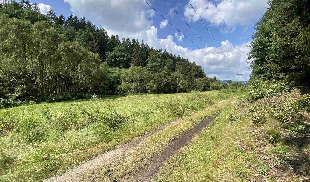 Prodej pozemku 843 m², Kaplice – náhled fotky 6