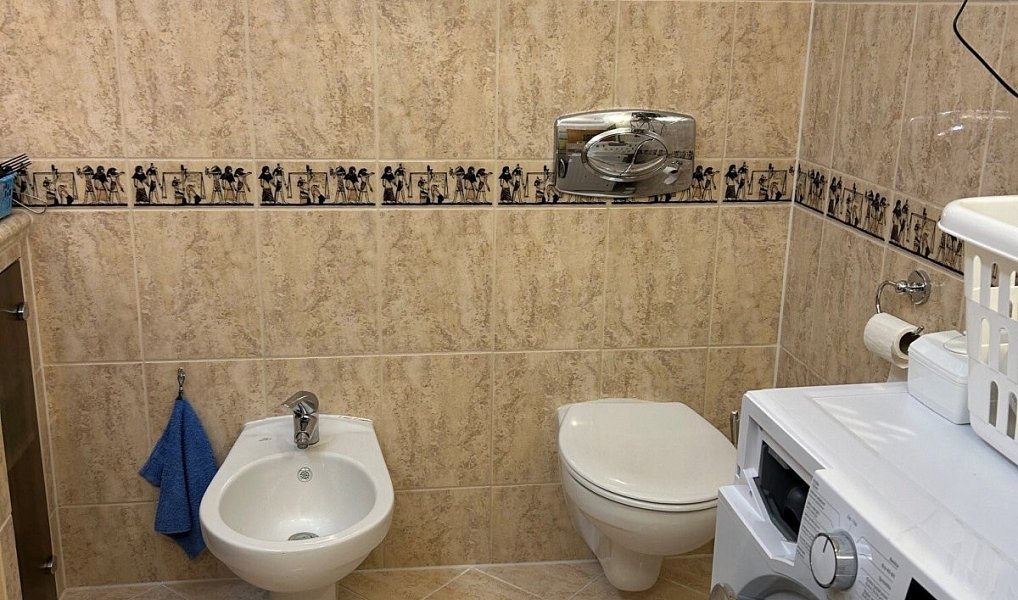 Prodej domu 132 m² s pozemkem 221 m², Březová – náhled fotky 12