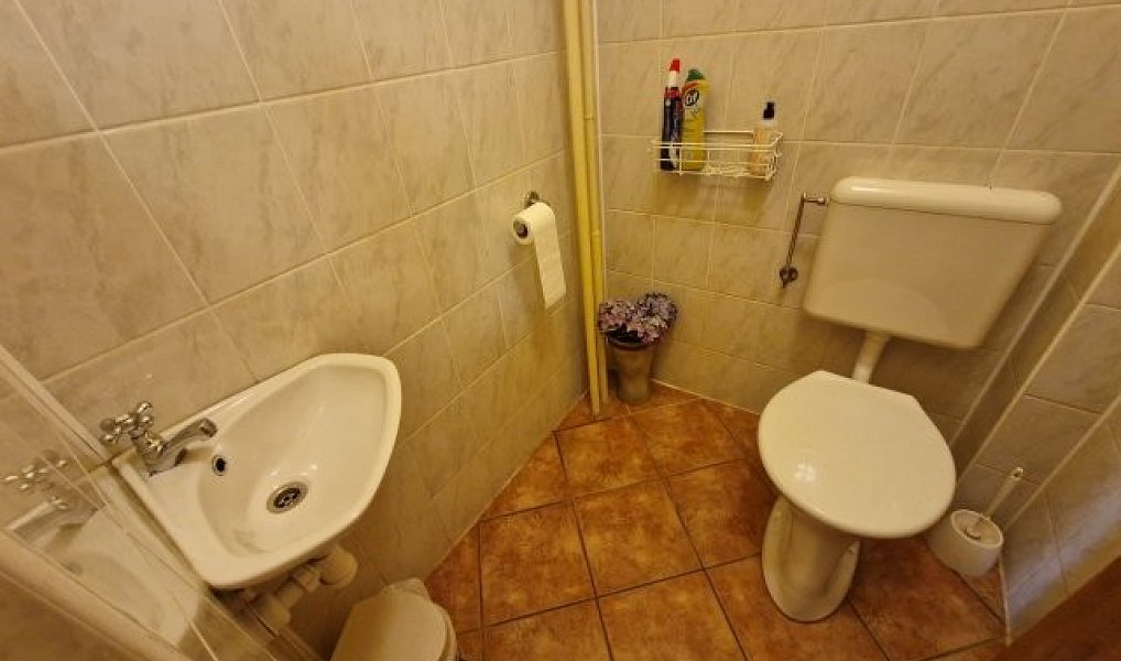 Prodej vily 250 m², Vidochov – náhled fotky 15