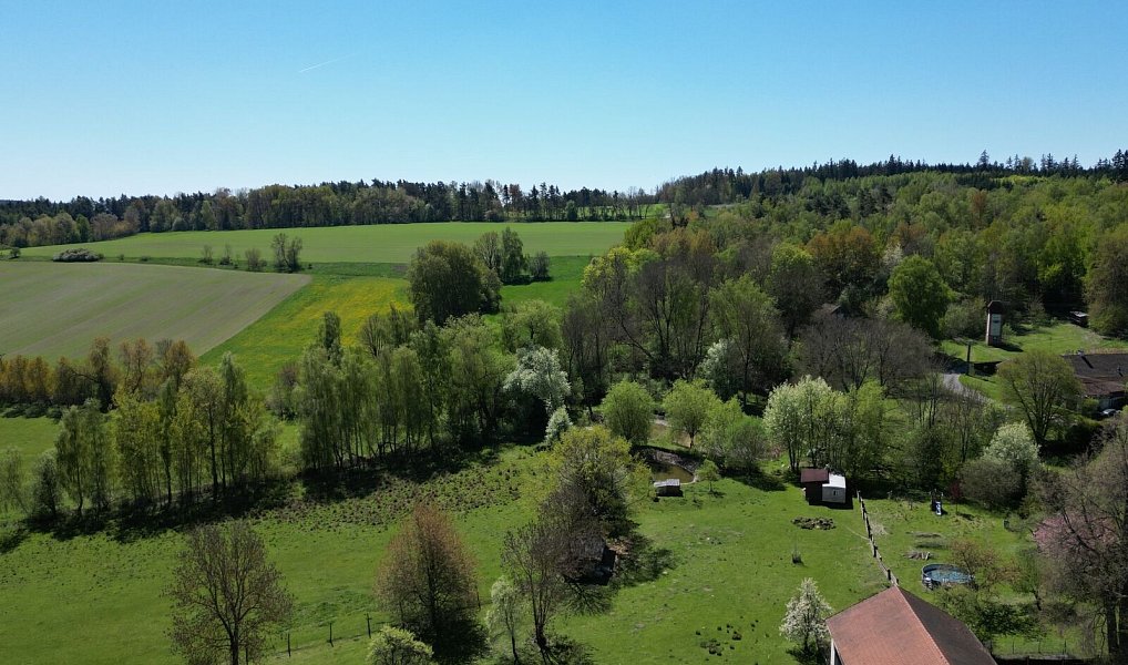 Prodej domu 725 m² s pozemkem 7 880 m², Bor – náhled fotky 40