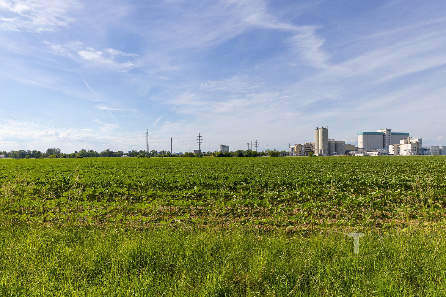 Prodej komerčního pozemku 147 116 m² – fotografie 3