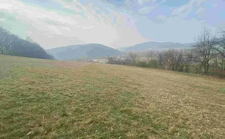 Dražba louky 9 269 m², Linhartice