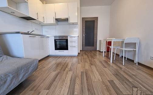 Pronájem bytu 1+kk 56 m², Hlučkova, Praha 9 - Letňany