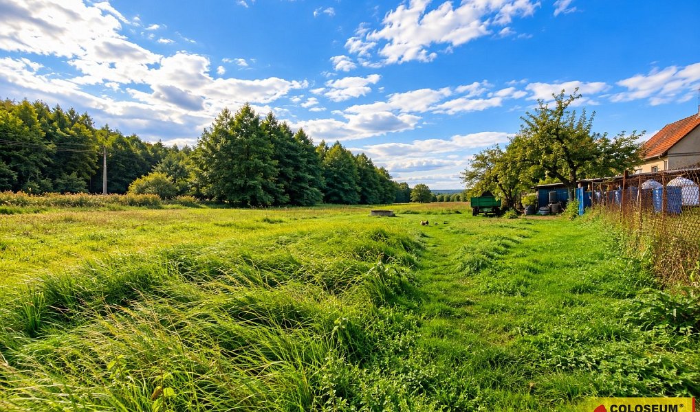 Prodej stavebního pozemku 2 012 m², Hostěnice – náhled fotky 7