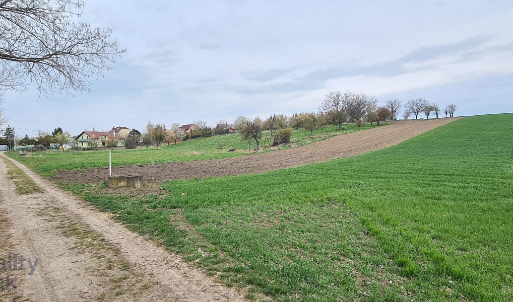 Prodej stavebního pozemku 1 854 m², Jiříkovice – náhled fotky 3