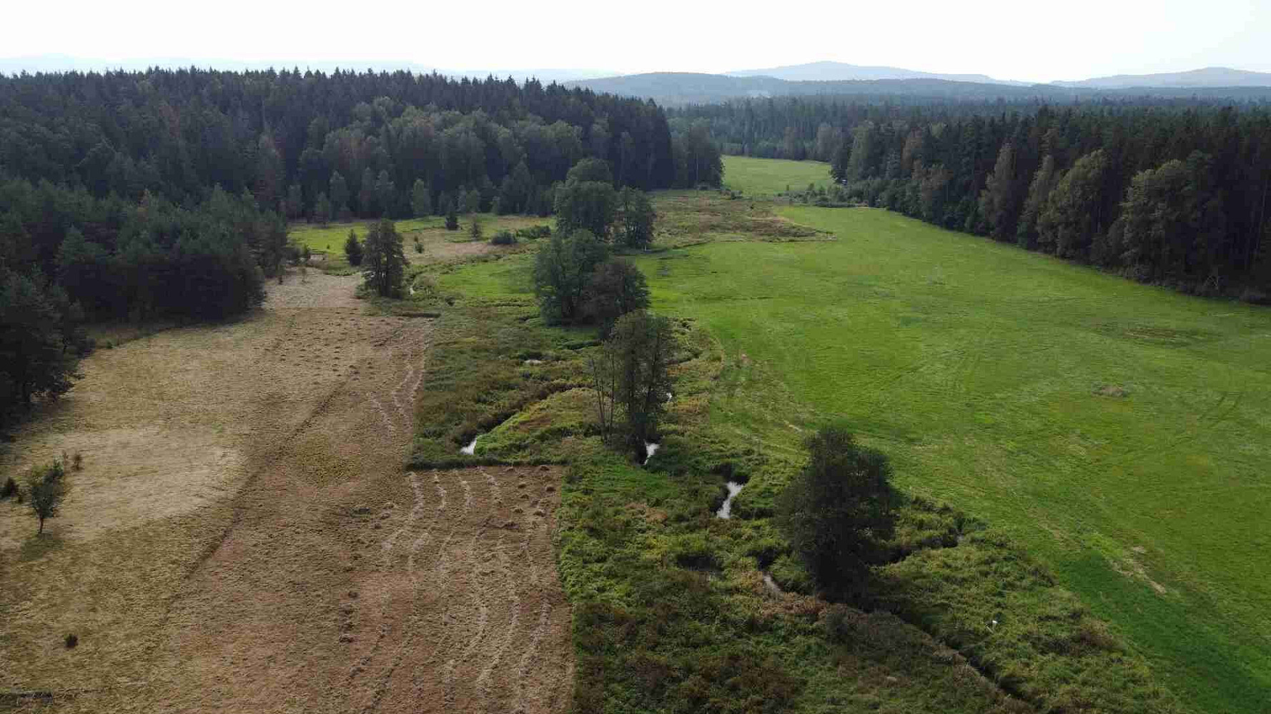 Prodej pole 52 176 m² – fotografie 4